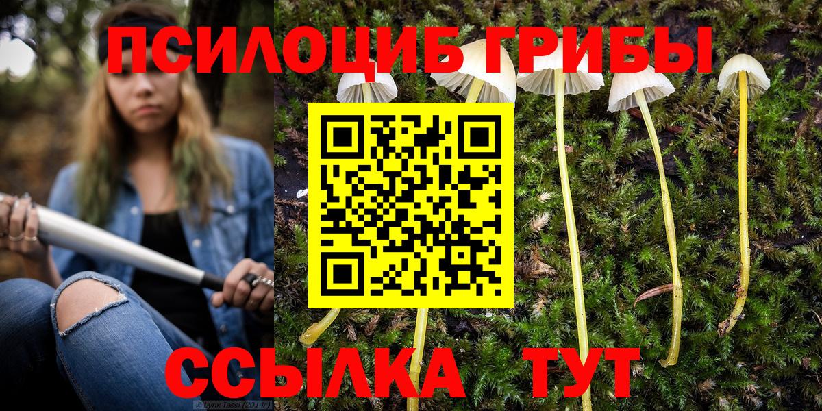 купить   Вход с VPN  Красногорск  Галлюциногенные грибы Magic Shrooms 